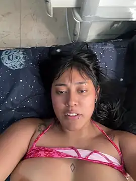 pawmistry online show from July 2026 06:43:02 PM