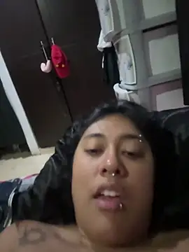 pawmistry online show from June 2026 02:24:02 AM