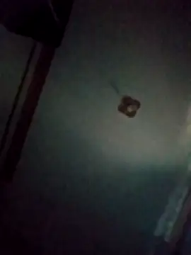 BriannaVincent online show from March 2026 04:35:02 AM