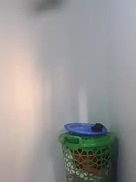 BriannaVincent online show from February 2026 04:41:02 AM