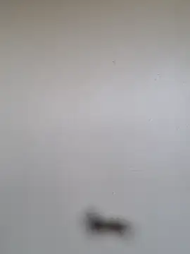 BriannaVincent online show from January 2026 05:01:01 AM