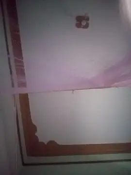 BriannaVincent online show from April 2026 04:31:02 AM