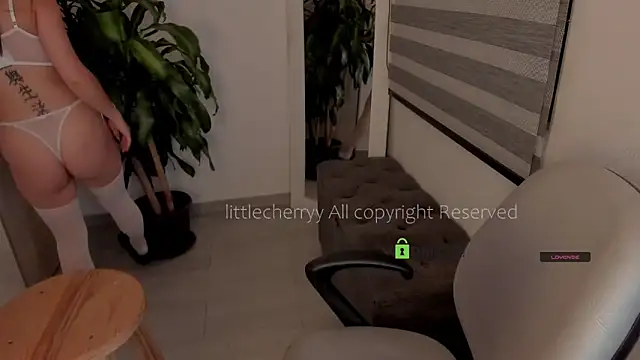  littlecherryy  online show from April 2026 03:35:02 AM