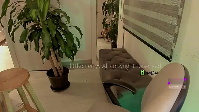  littlecherryy  online show from December 2025 02:03:02 AM