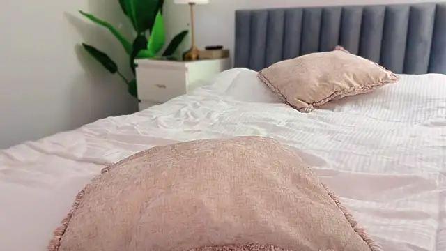 Snapshot of Myassistant chatting on January 2026 09:08:01 PM Myassistant online show from January 2026 09:08:01 PM