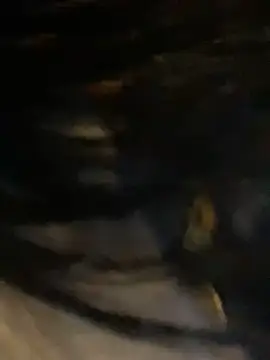 sophie conor online show from January 2025 10:32:02 PM