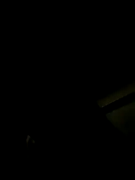 sophie conor online show from December 2024 04:37:01 AM