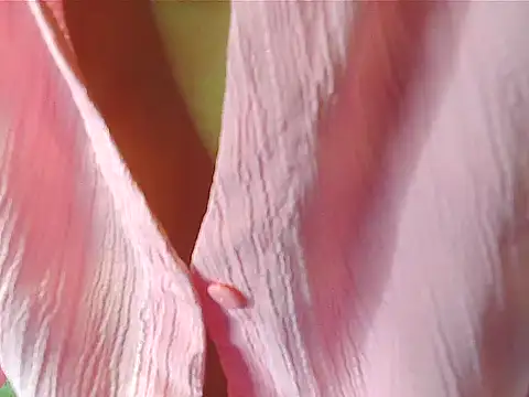 your Shanvi online show from October 2025 07:59:01 PM