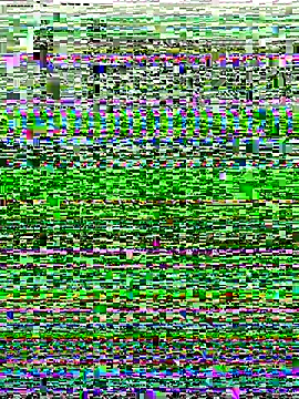 Snapshot of Shona5768 chatting on November 2025 08:48:02 AM Shona5768 online show from November 2025 08:48:02 AM