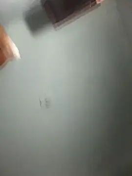 Snapshot of doll_celeste20 chatting on September 2025 09:54:02 PM doll celeste20 online show from September 2025 09:54:02 PM