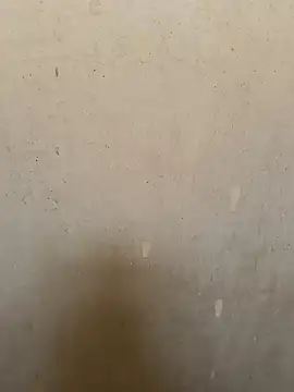 loveme99004 online show from March 2026 09:01:01 AM