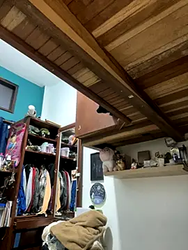 Snapshot of SophiaWeestt99 chatting on December 2025 04:11:02 AM SophiaWeestt99 online show from December 2025 04:11:02 AM