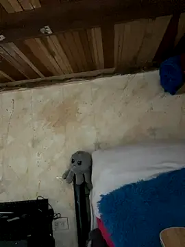 Snapshot of SophiaWeestt99 chatting on November 2025 02:15:02 AM SophiaWeestt99 online show from November 2025 02:15:02 AM