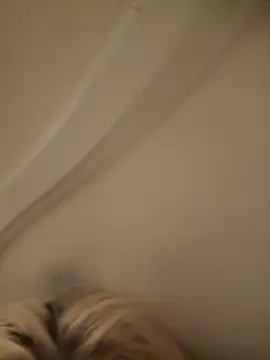 SirenitySirenxx online show from September 2025 08:54:01 AM