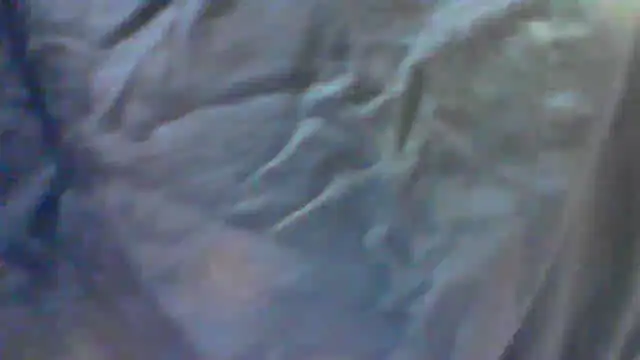 Snapshot of collage_hoty chatting on September 2025 05:30:01 PM collage hoty online show from September 2025 05:30:01 PM