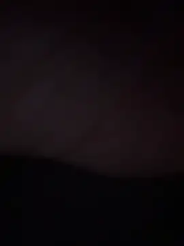 Gingerbushguy online show from February 2025 05:07:01 PM