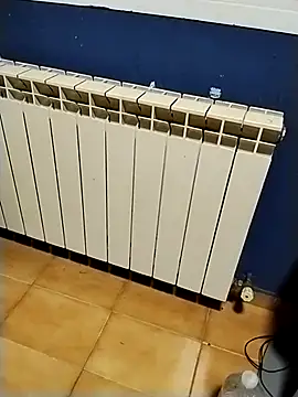 minitranca online show from January 2026 07:32:02 PM