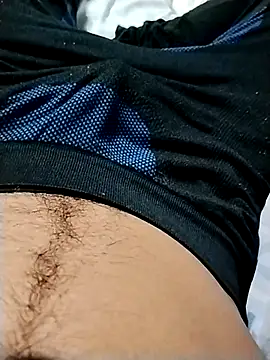 minitranca online show from February 2026 02:03:01 AM