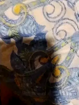 minitranca online show from February 2026 08:17:02 PM