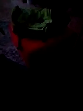 minitranca online show from February 2026 09:59:02 PM