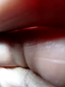 catopper0001 online show from October 2025 12:24:01 PM