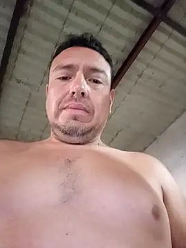 strip 1212 online show from November 2025 02:50:01 PM