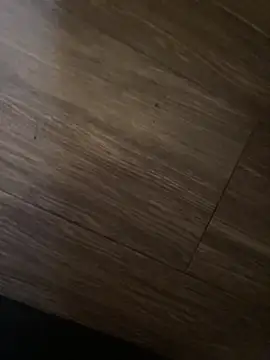 baby lizy online show from March 2026 05:12:02 PM