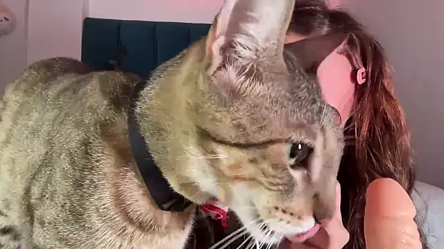 alice guerin  online show from February 2026 06:19:02 AM