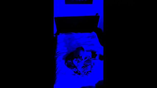 LuggiJack online show from February 2026 07:02:02 PM