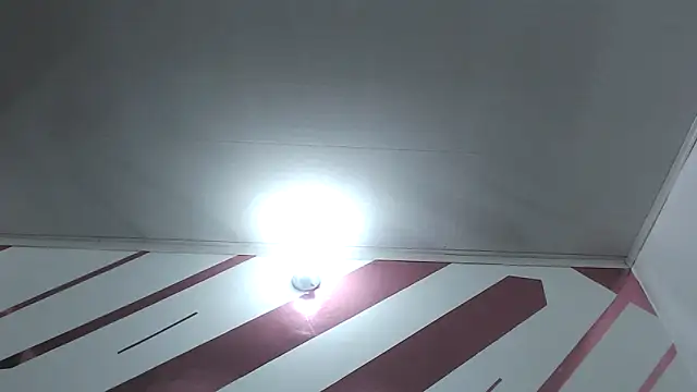 Kitten Hot  online show from December 2025 10:30:02 AM