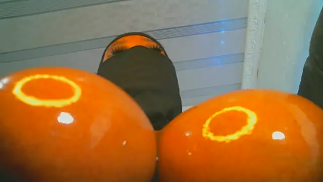 XPanther 24 online show from February 2025 10:32:01 PM