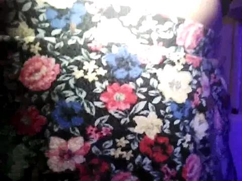 Rosaselvagem online show from December 2024 02:25:01 AM