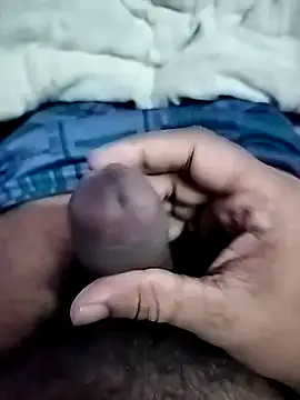 dick 01728 online show from January 2026 08:45:01 PM