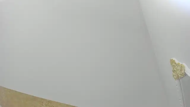 PandoraRider online show from March 2026 12:51:02 PM