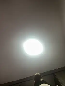 PandoraRider online show from April 2026 12:44:02 PM