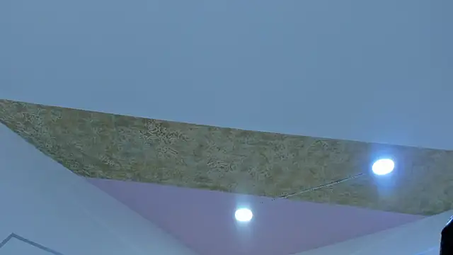 Snapshot of PandoraRider chatting on June 2026 02:48:02 PM PandoraRider online show from June 2026 02:48:02 PM