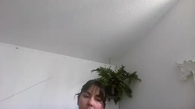 Tiramisu89 online show from January 2026 06:48:01 PM