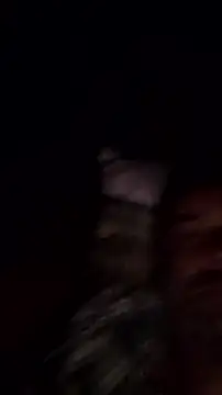Gianlucazeis online show from June 2026 02:56:01 AM