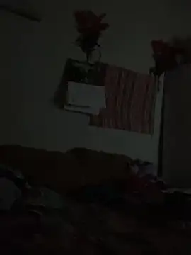 Snapshot of Johnras121 chatting on September 2025 03:46:01 AM Johnras121 online show from September 2025 03:46:01 AM