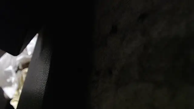 Hungry  Puppy online show from November 2025 10:13:02 PM