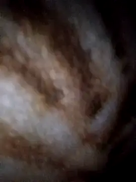 Snapshot of YuliannaFox chatting on February 2025 09:52:01 PM YuliannaFox online show from February 2025 09:52:01 PM