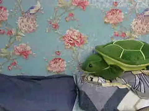 Tiny lusty online show from March 2025 08:21:02 PM