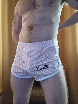 Snapshot of Gingerbeard40 chatting on February 2026 07:52:02 AM Gingerbeard40 online show from February 2026 07:52:02 AM