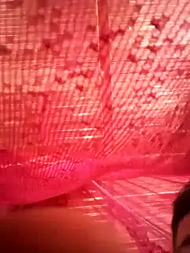 tekashiloco online show from September 2025 03:01:01 PM