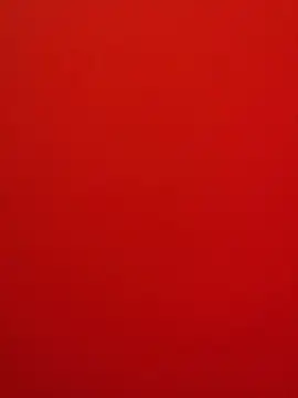 loinclothgay online show from May 2026 07:31:02 PM