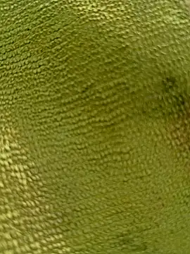 sadunt online show from December 2025 09:36:02 AM