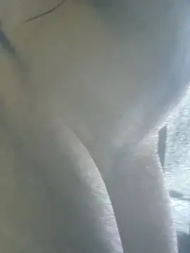 tereza444 online show from January 2026 07:39:01 PM