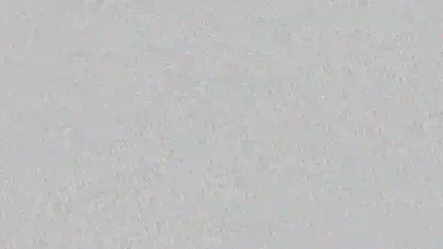 Snapshot of mara_jackson_ chatting on March 2025 11:00:02 PM mara jackson online show from March 2025 11:00:02 PM