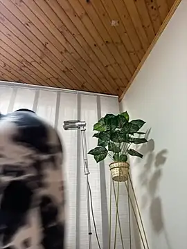 Snapshot of Milff_parkerrr chatting on March 2025 08:55:01 PM Milff parkerrr online show from March 2025 08:55:01 PM