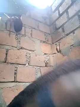 Black juicy24 online show from April 2026 04:16:02 AM